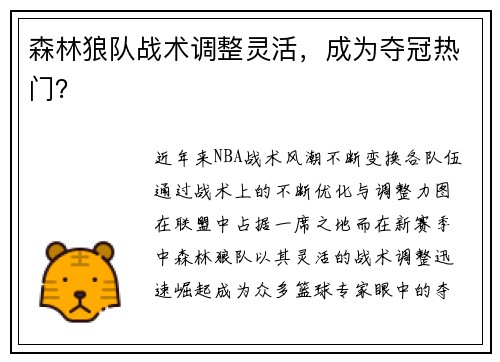 森林狼队战术调整灵活，成为夺冠热门？
